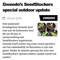 Gweedo's Seedstockers Special
