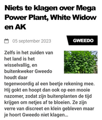 Niets te klagen over Mega Power Plant white Widow en AK