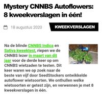 Mystery cnnbs autoflowers 8 kweekverslagen